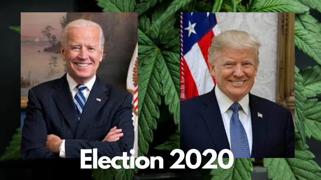 Here S Where The Presidential Candidates Stand On Cannabis The