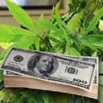 Taxing-Marijuana