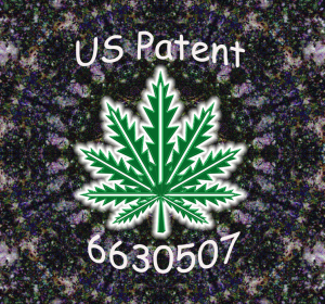 The government owns the patent to cannabis as an antioxidant and neuroprotectant.