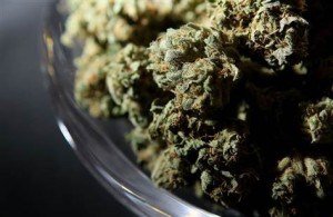 marijuana-legalization