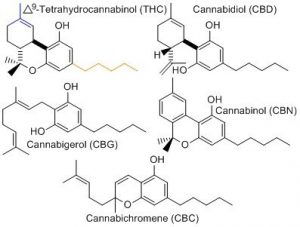 cannabinoids2