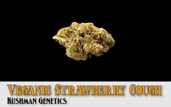 Veganic Strawberry Cough won "Best U.S. Flower", one of the most coveted of the event's awards.