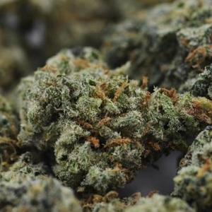 Uruguay Cannabis Sales