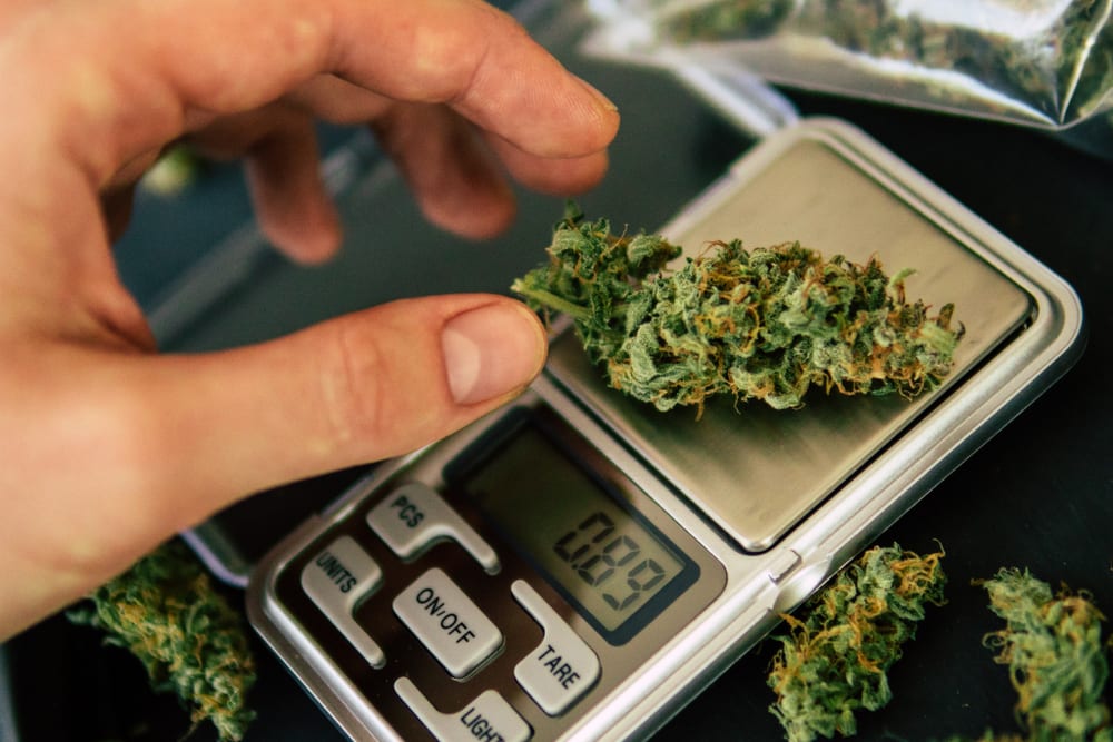 How Many Grams in 1/8 of Marijuana? - The Joint Blog