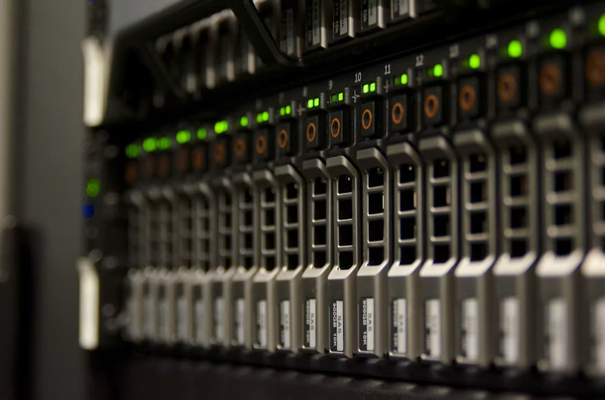 Server storage used to verify and preserve the integrity of large archived torrent files.